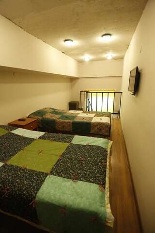 Отель Araks Hotel Complex Гюмри Двухместный номер эконом-класса с 1 кроватью или 2 отдельными кроватями-2